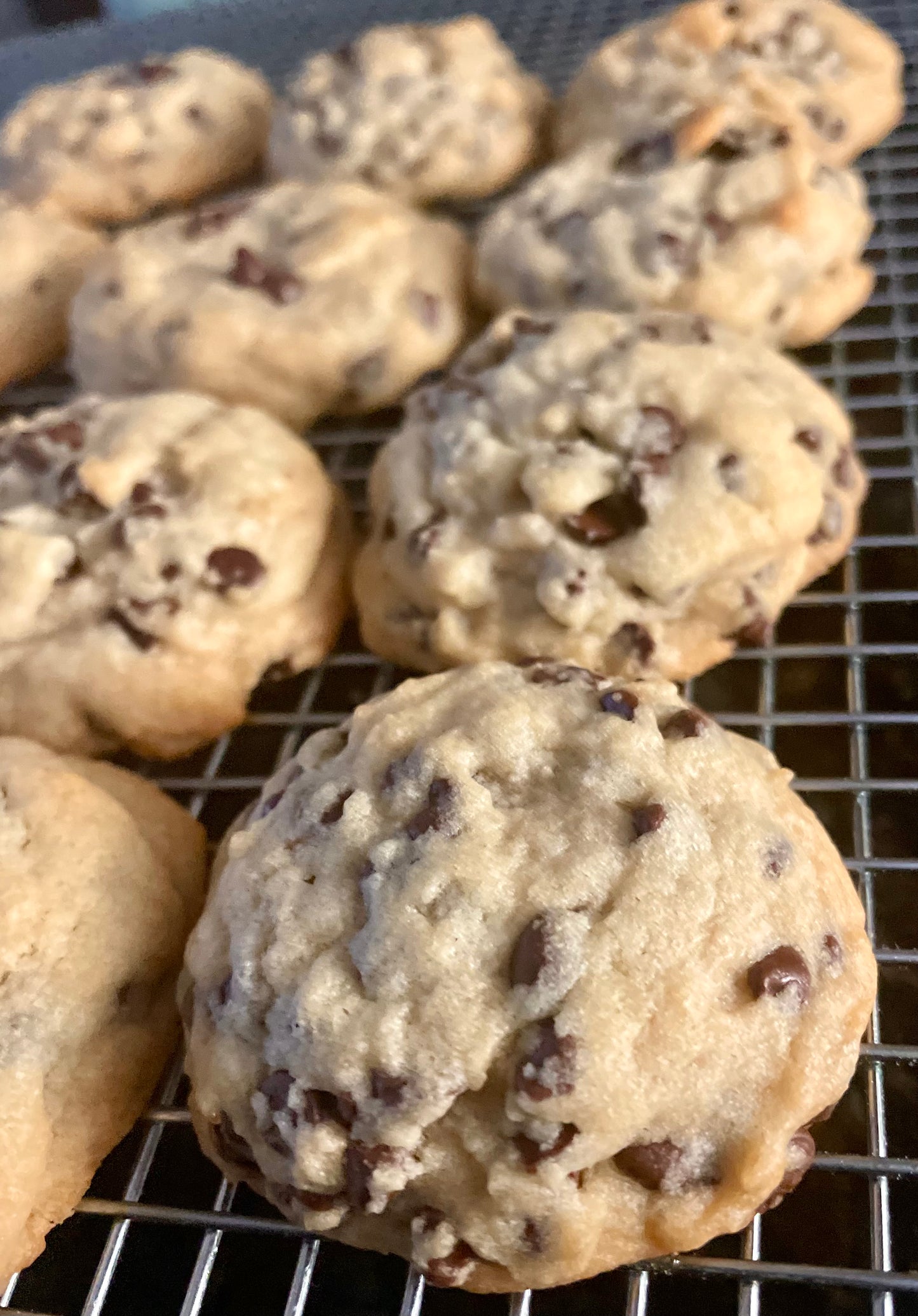 Mini Chocolate Chip