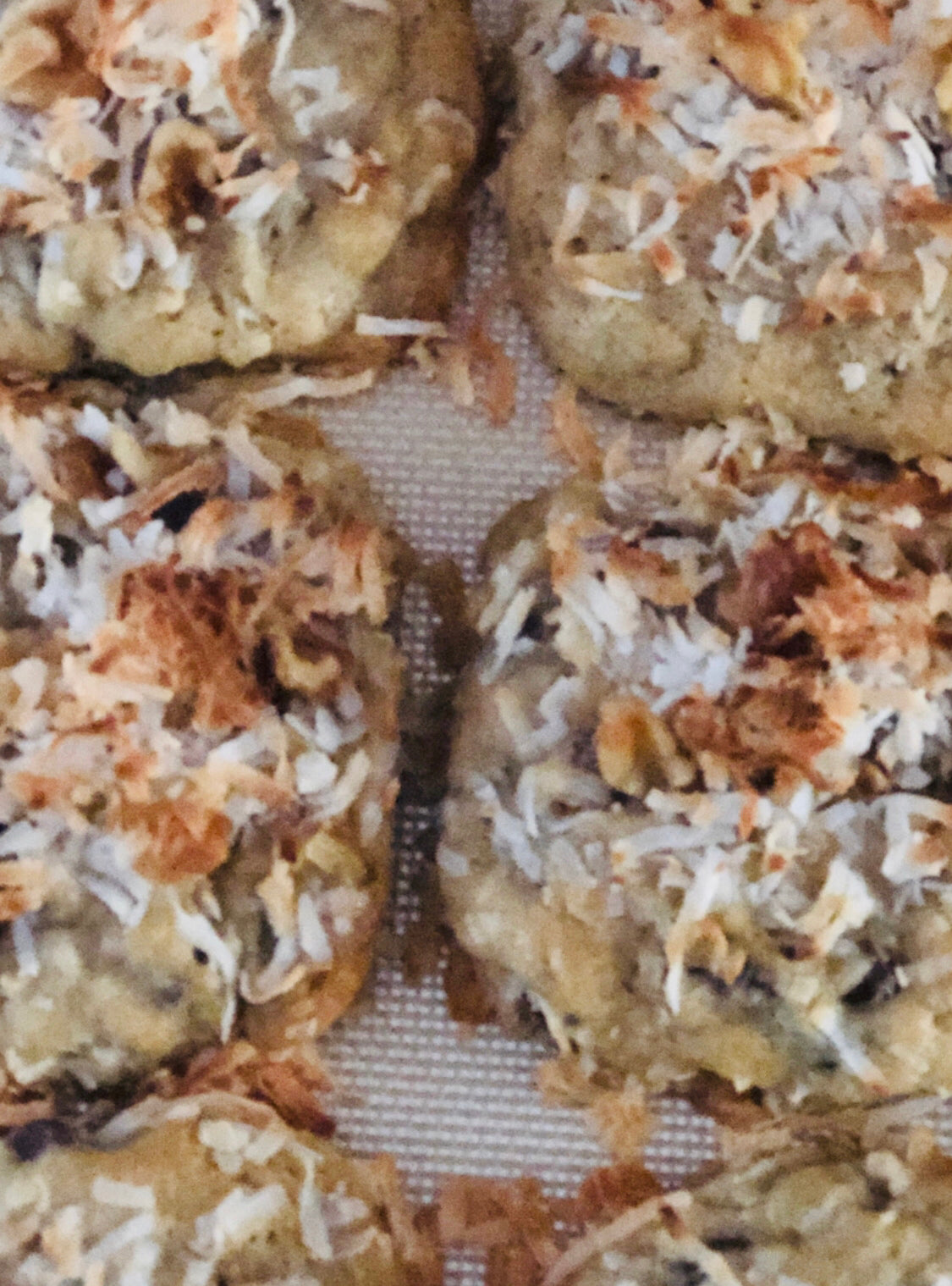 Nutty Joy Cookie