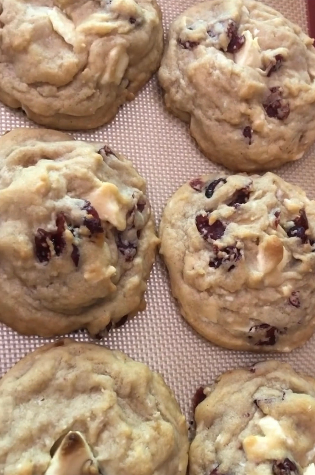 Binsky's Sweets and Eats White Chocolate Chunk Cookies with Cranberries